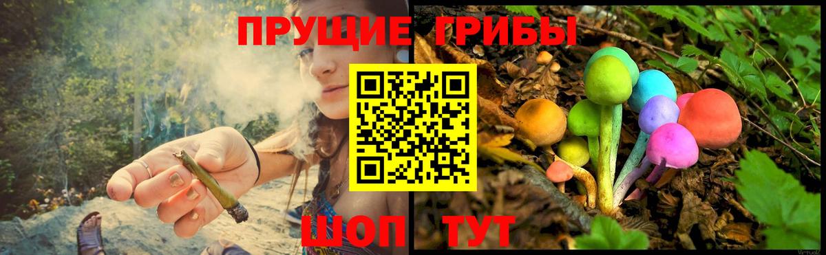 Галлюциногенные грибы прущие грибы  Вход с VPN  Сланцы 