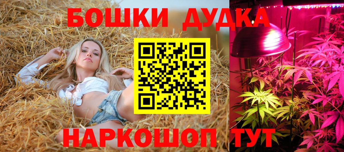 Сланцы  Конопля Bruce Banner  Вход с VPN  Конопля план 